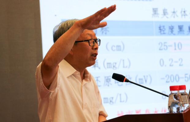 1498294192125709.jpg 4.jpg